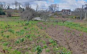 Retiro Da Perreira Com Churrasqueira
